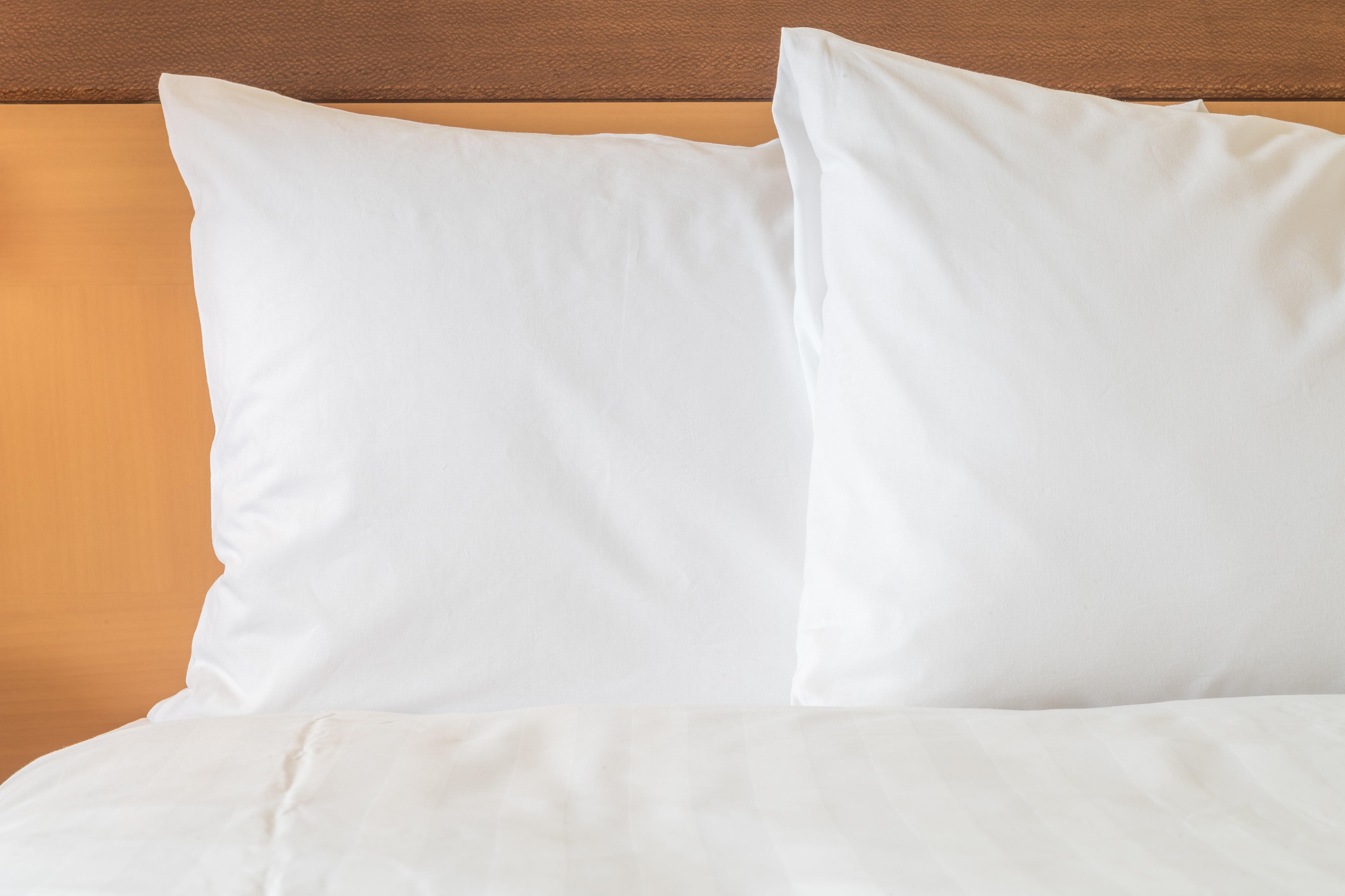 Holiday Inn & Suites Clearwater Beach S-Harbourside Eksteriør billede