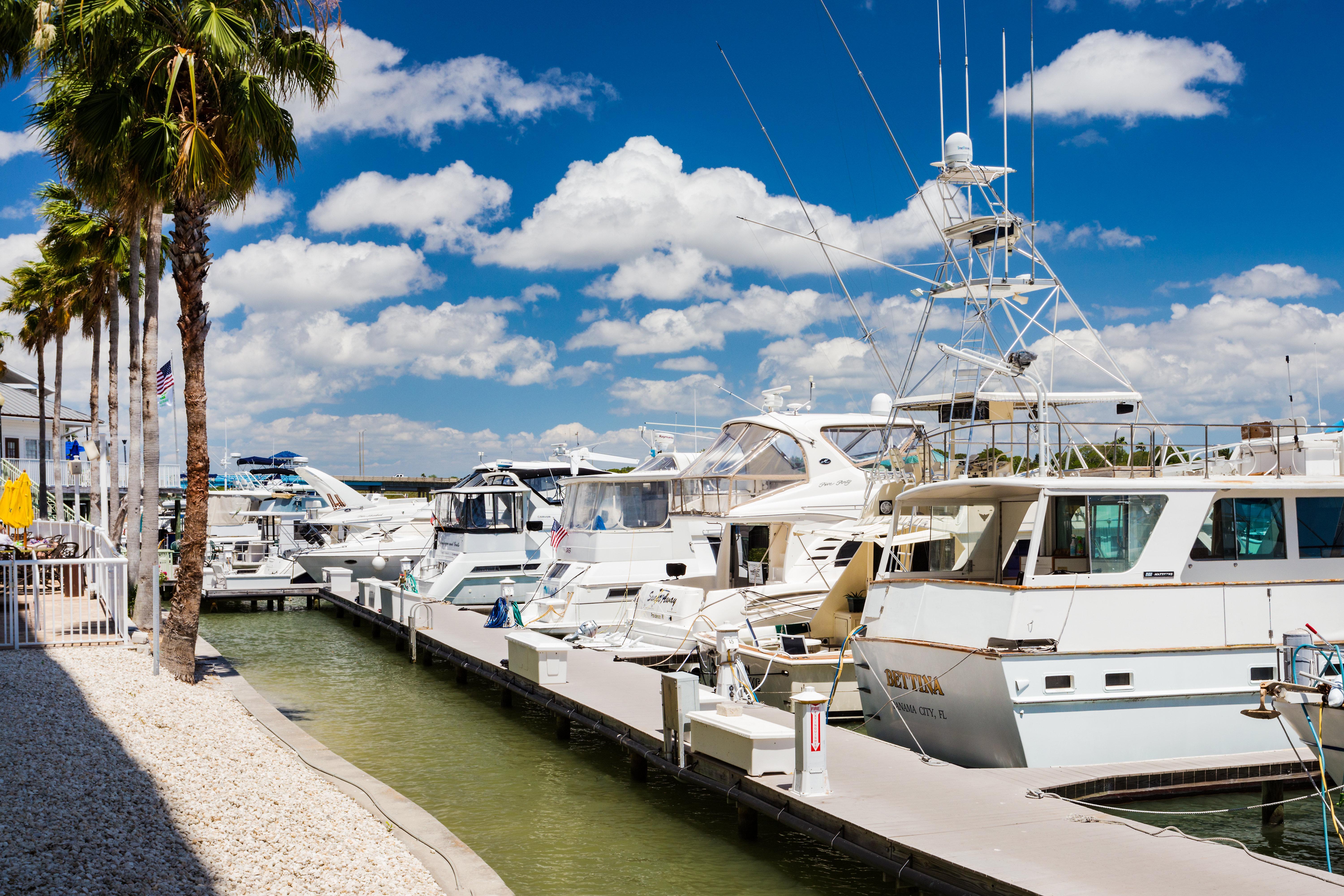 Holiday Inn & Suites Clearwater Beach S-Harbourside Eksteriør billede